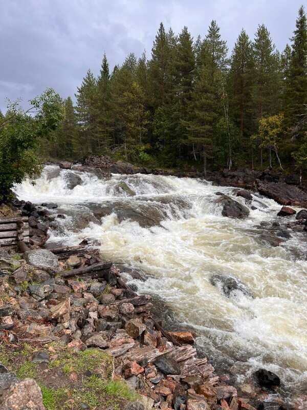Путешествие по Терскому берегу Белого моря (12/29)