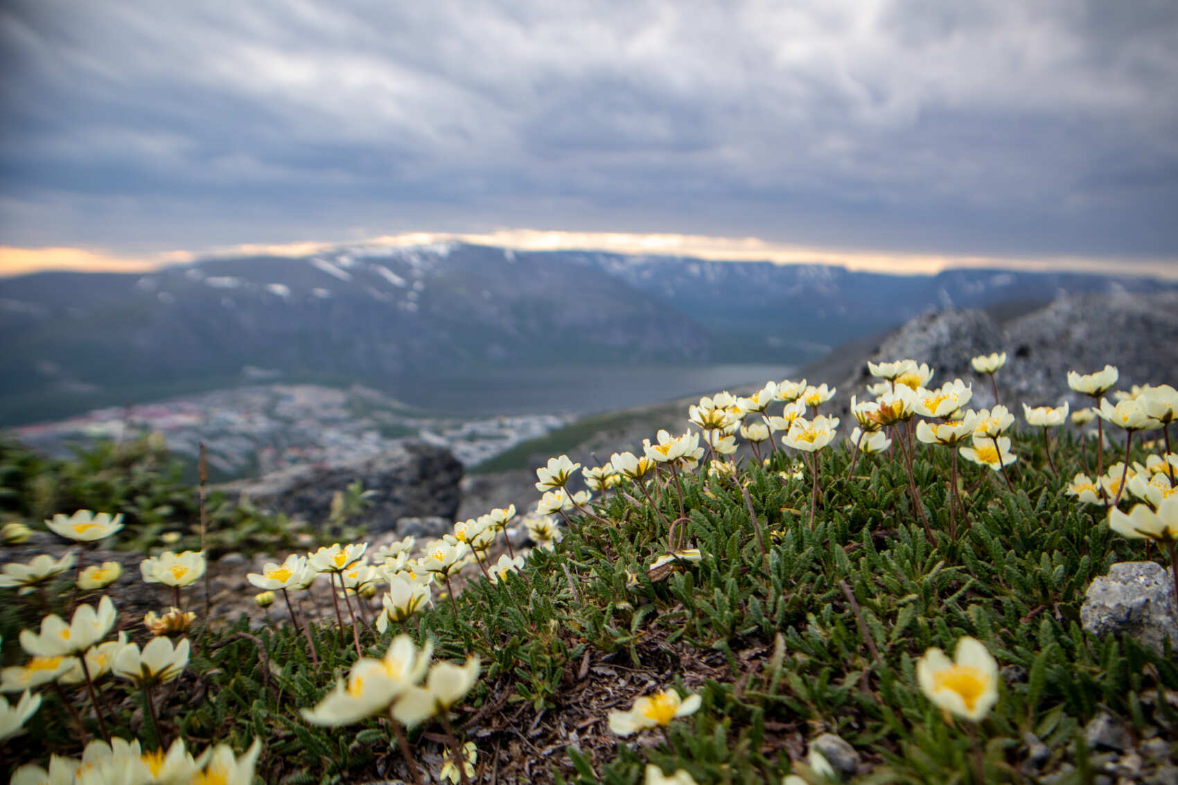  Кировск и Хибины за 2 дня из Мурманска (индивидуально, по запросу)