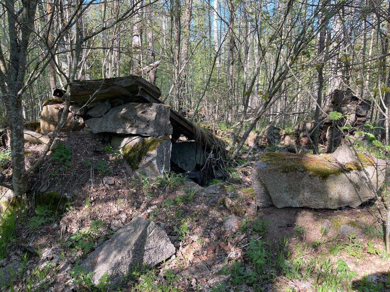 Острова и шхеры Выборгского залива. Тур на катере с гидом. (10/17)