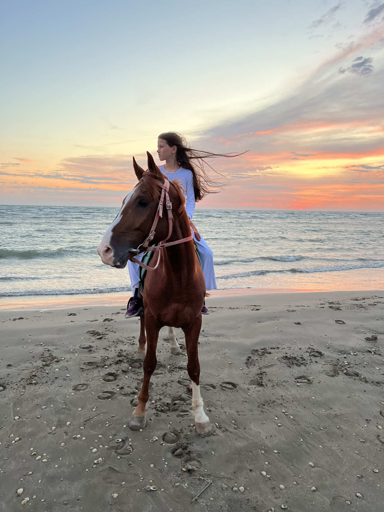 Дагестан Своими Глазами! 7 дней. Всё включено. (82/217)