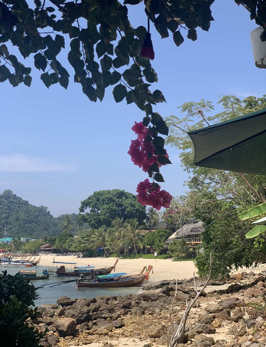 Путешествие на необитаемые острова архипелага Phi Phi. Сноркелинг с черепахами (11/41)