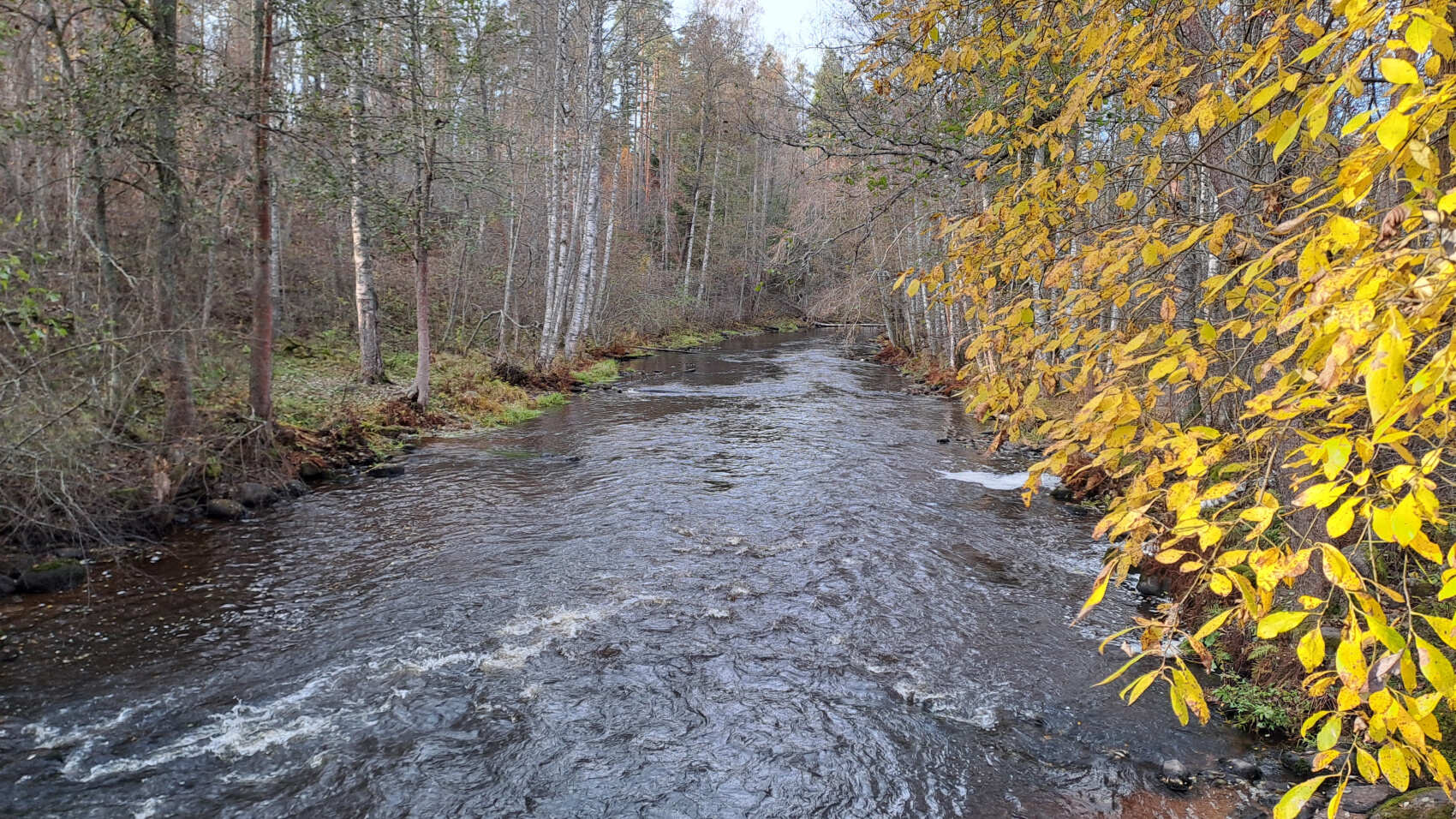 По тропам Ленинградской области. Петяярви. (7/9)