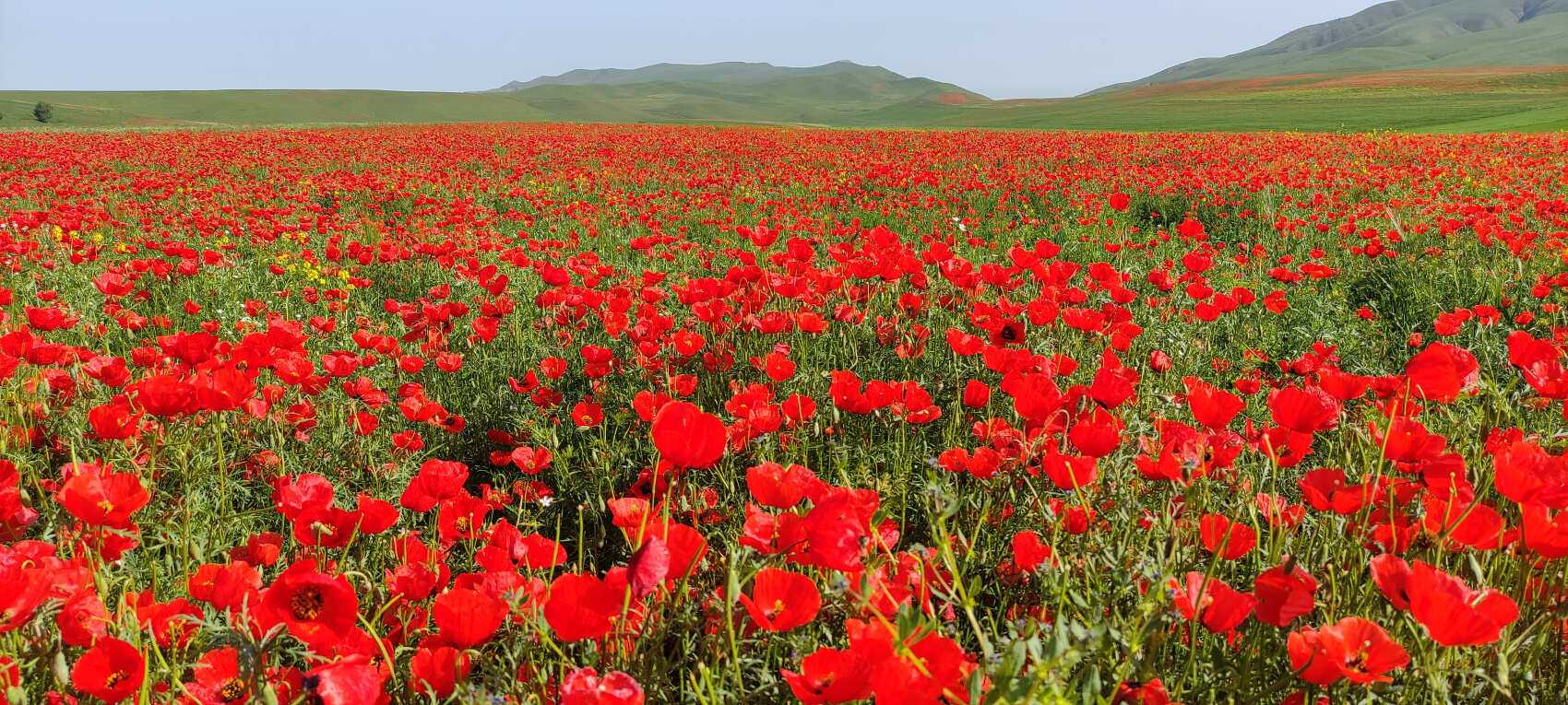 Из Бишкека в горы Тянь-Шаня! (16/16)