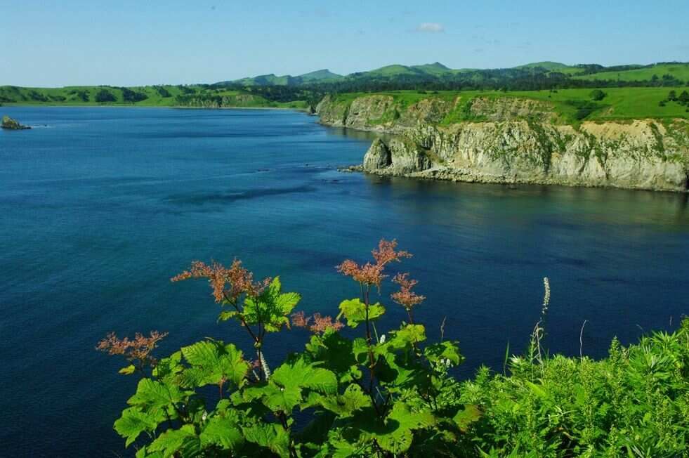 Тур на Курилы ( о.Шикотан ) (7/20)