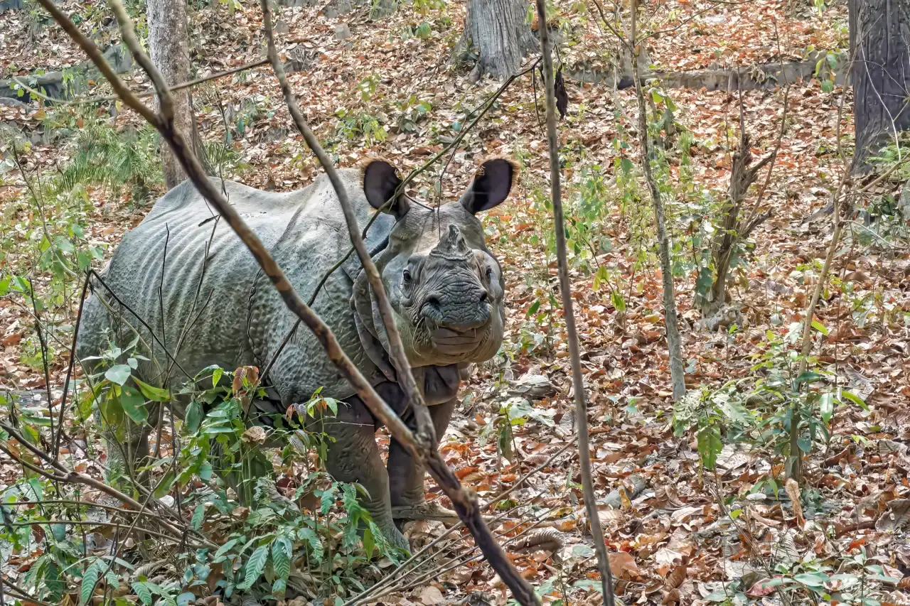 Nepal Tibet Bhutan Tour (2/7)