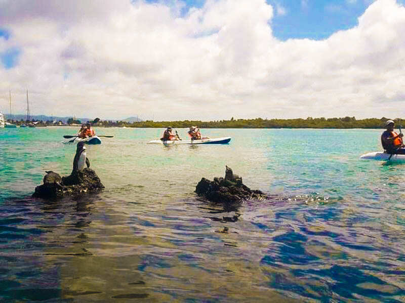 10-дневная прогулка по Галапагосским островам в Санта-Круз и Исабеле (2/9)