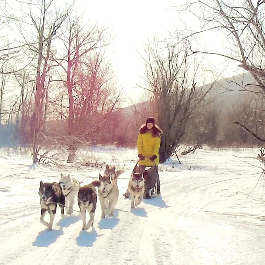 Зимний тур Камчатский Скороход (7/18)