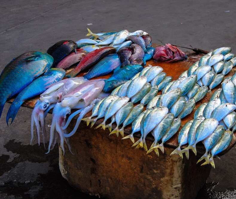 Удивительный Занзибар  и Один День В Танзании, увидеть большую пятёрку (24/89)