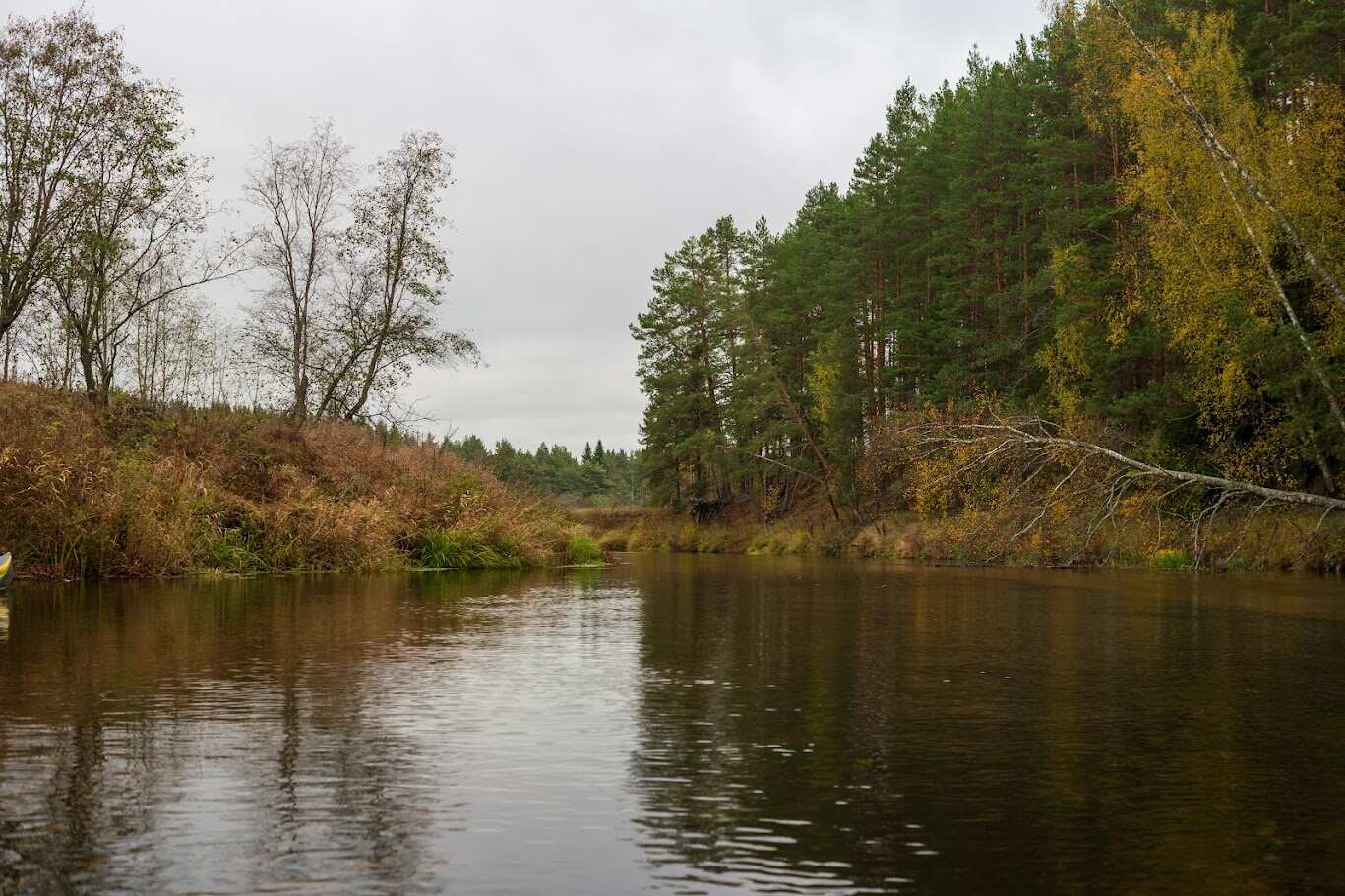 Сплав на байдарках по реке Осуга (2 дня) (5/9)