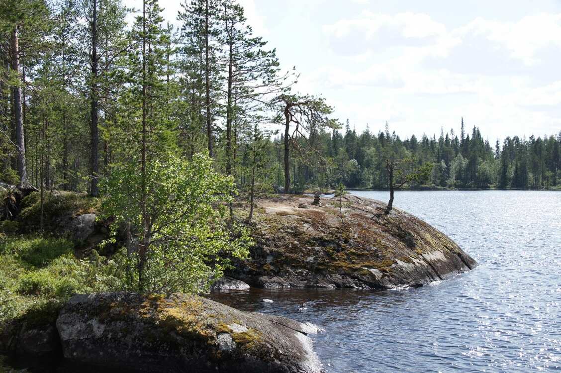 Сплав по реке Пистайоки (33/33)