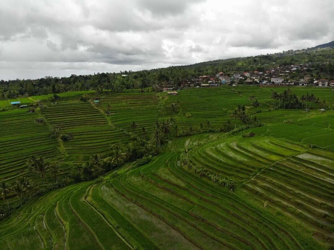 5 островов Индонезии (Бали, Нуса Пенида, Ява, Флорес, Комодо) 13 дней (43/122)