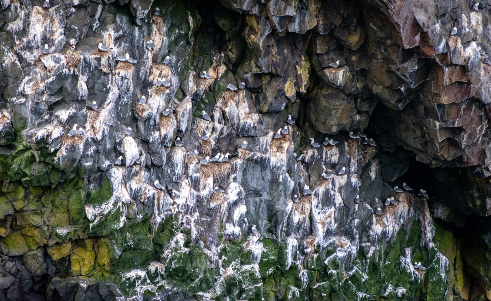 Поход по Камчатке: вулканы и океан (15/58)