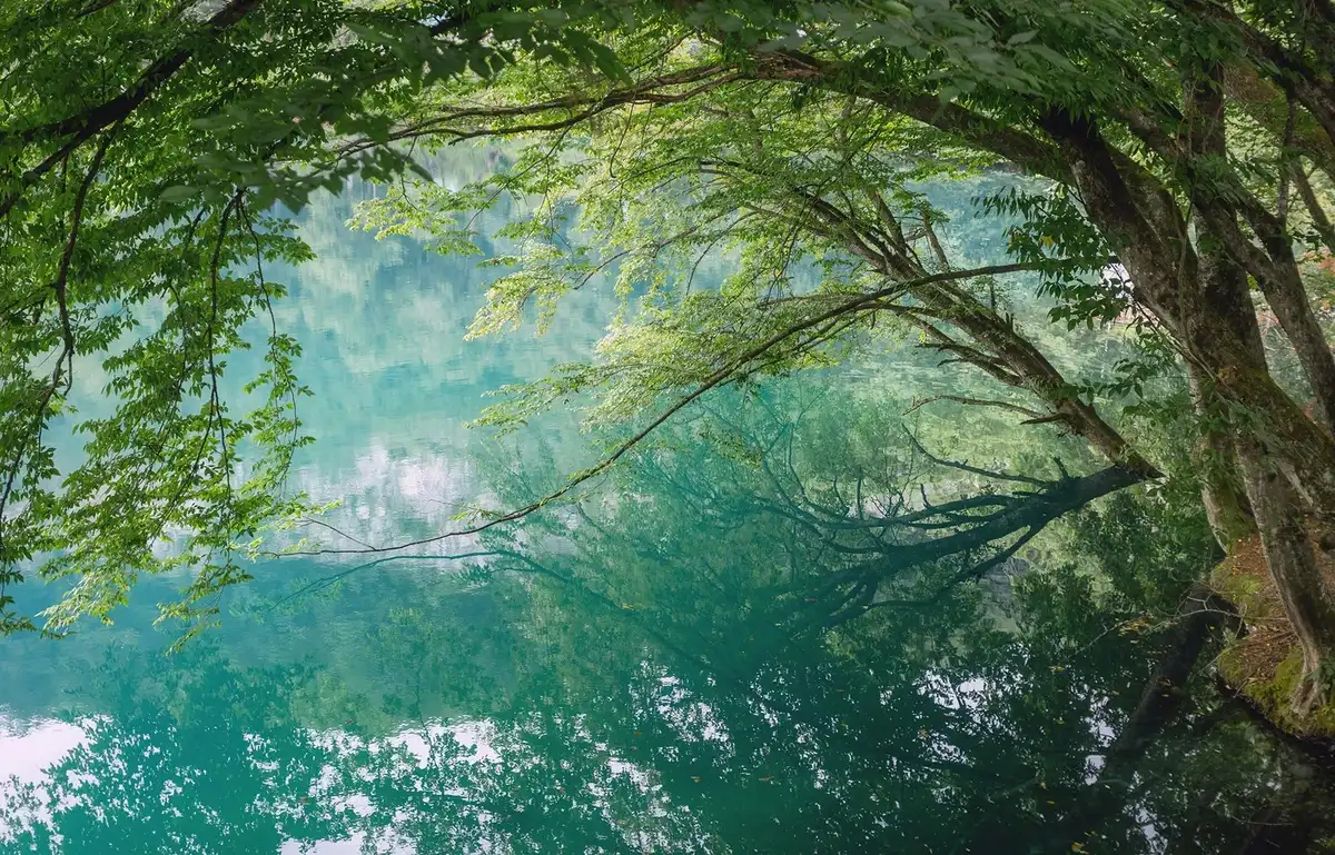 Кабардино-Балкария: Тайны Гор и Долин. Из Владикавказа (39/73)