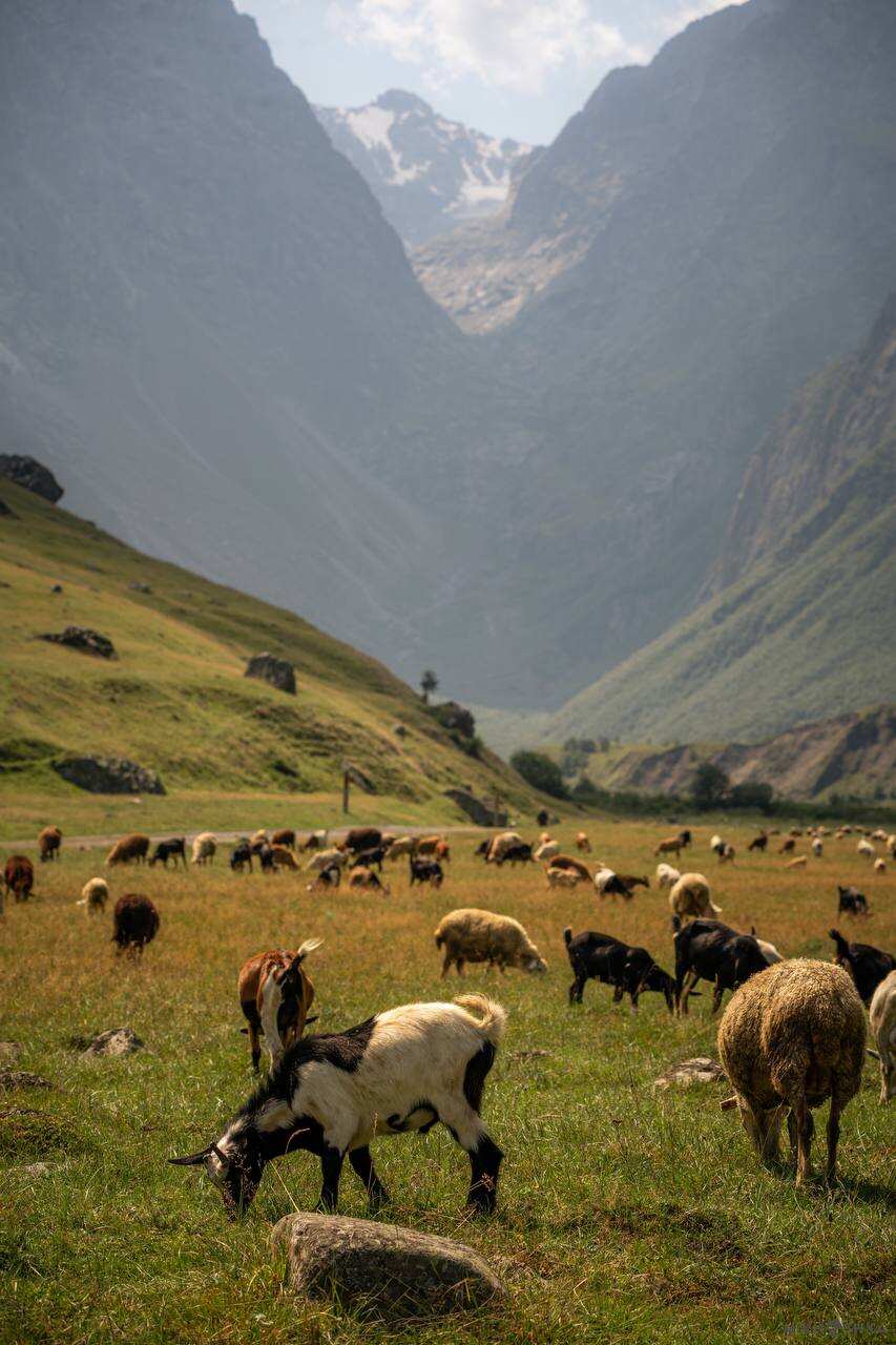 Осетия на Максималках (34/68)