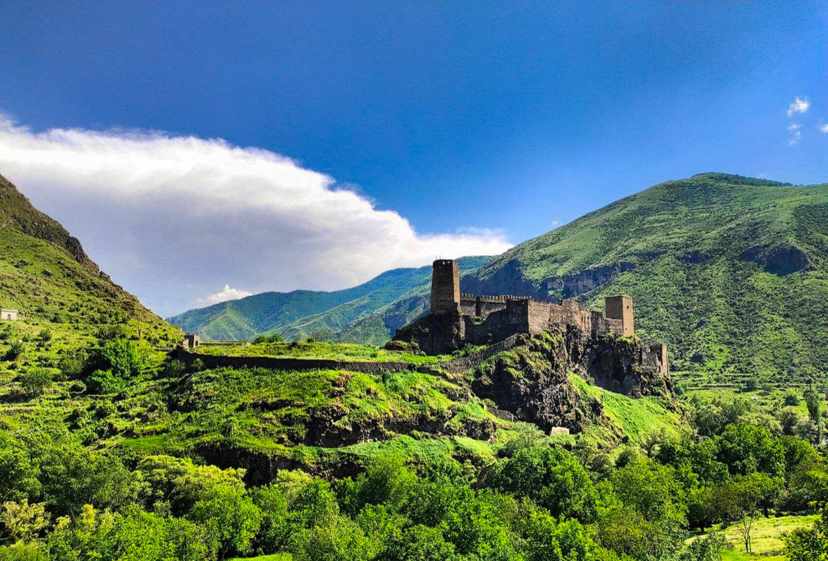 Горы, вино, великая история и люди! Яркая Грузия! (33/108)