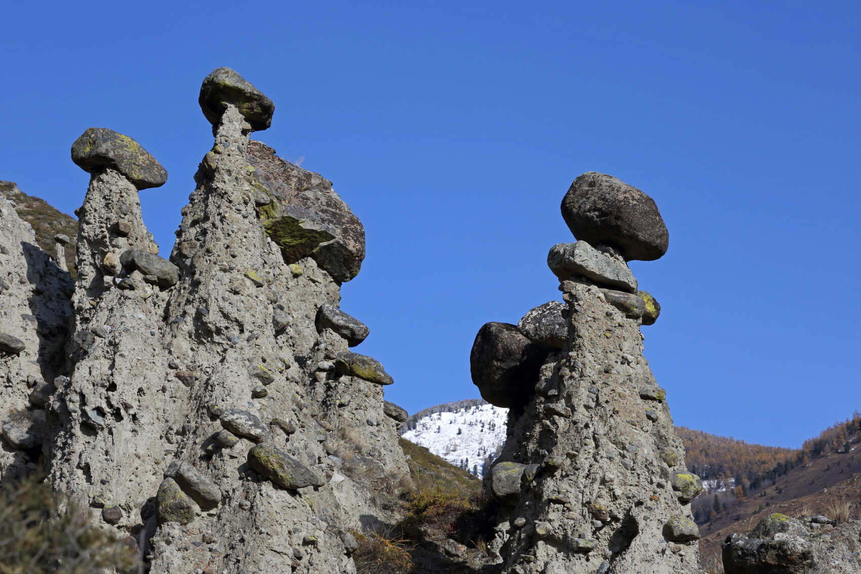 Золотое кольцо Алтая: инстаграмные локации (54/58)