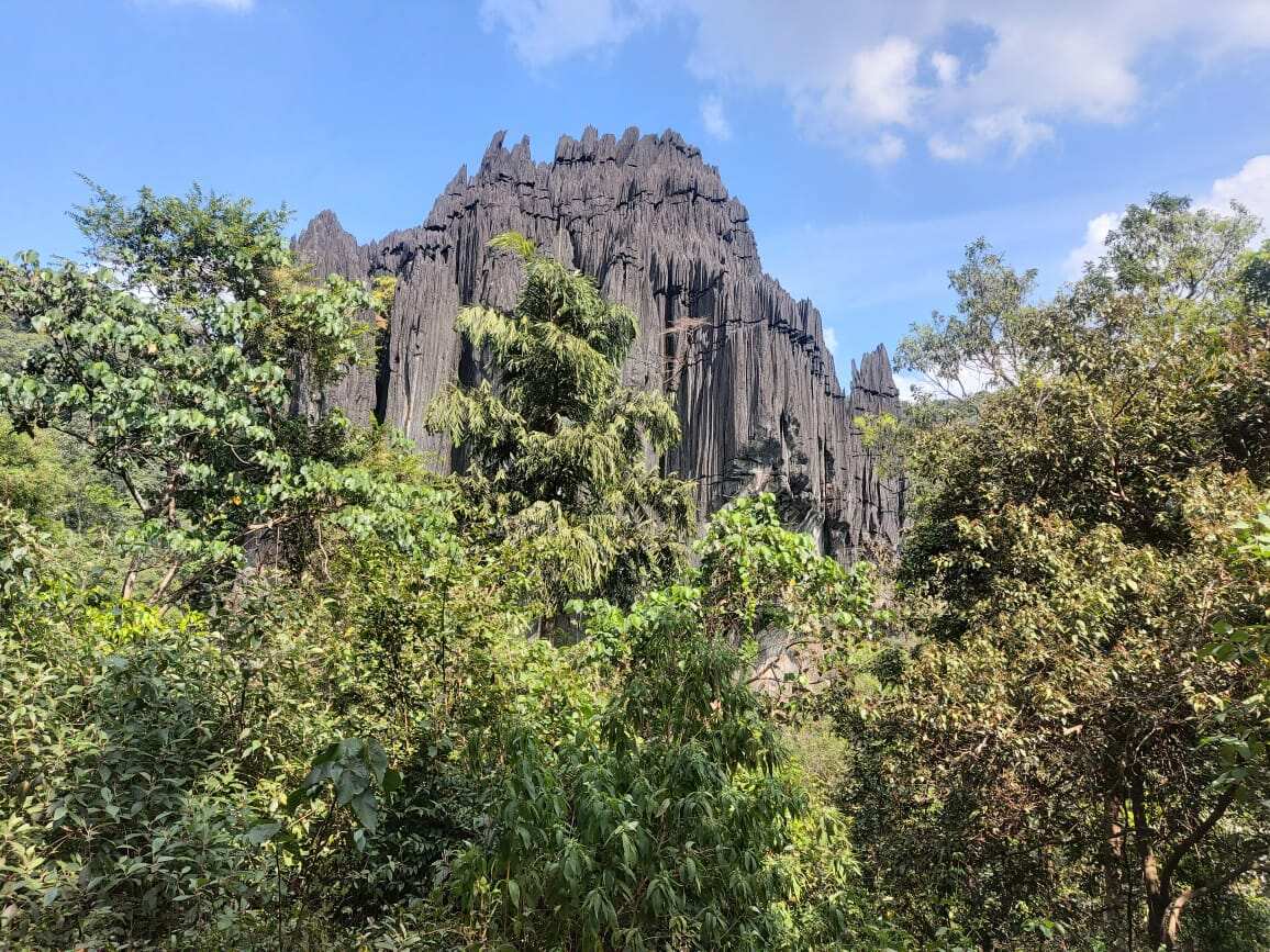 Йога - ретрит в Гокарне Сила Красоты (8/38)