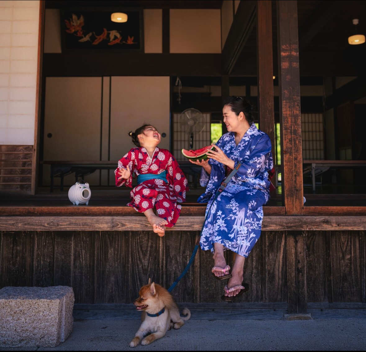 Цветение сакуры в Японии + оформление визы в подарок (7/37)