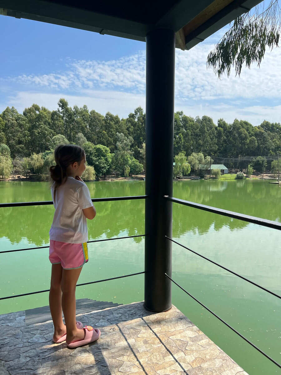 Индивидуальный Развлекательный тур с посещением Дельфинария и Цицинате (5/9)