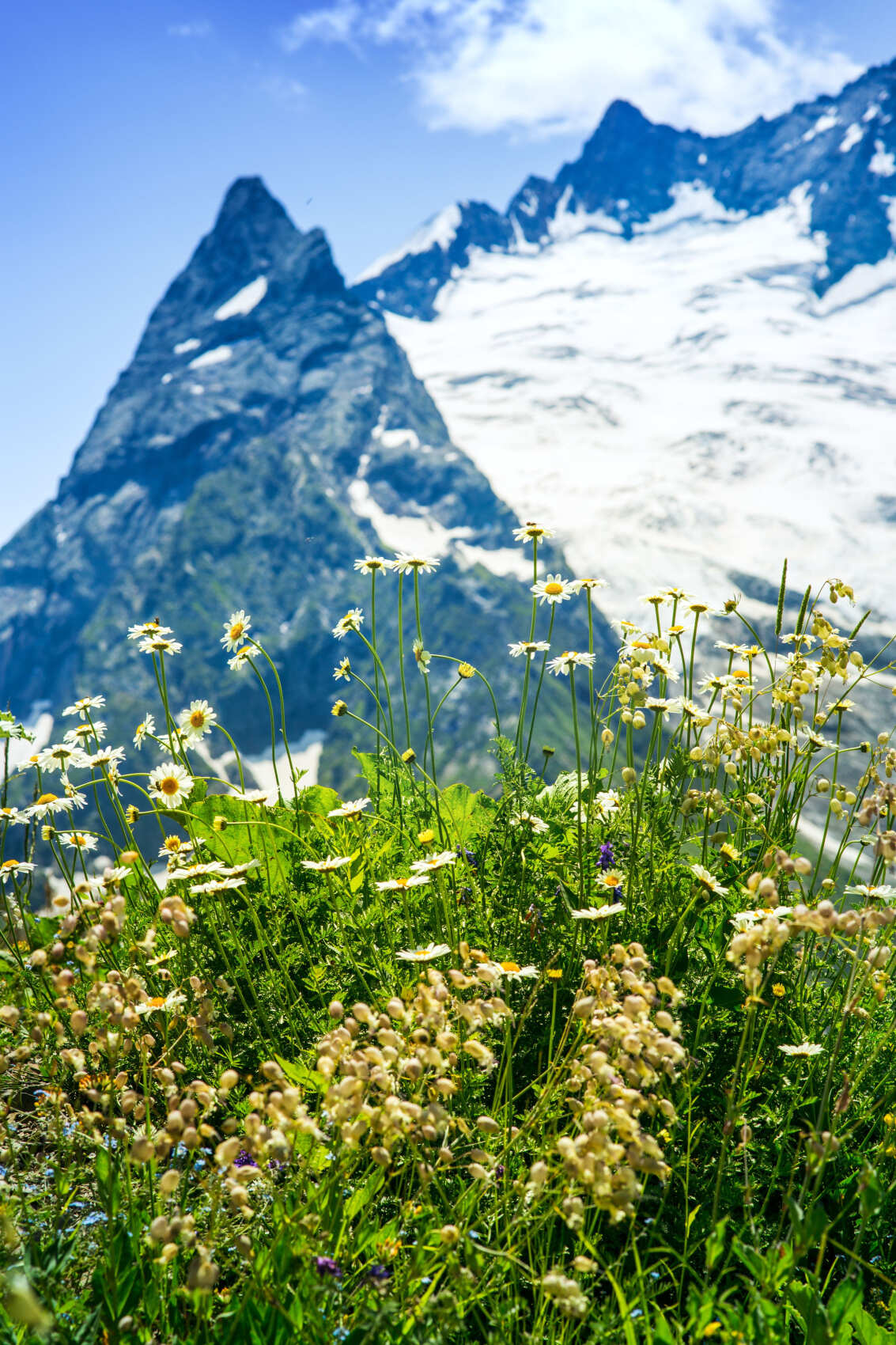 Сокровища Домбая (10/29)