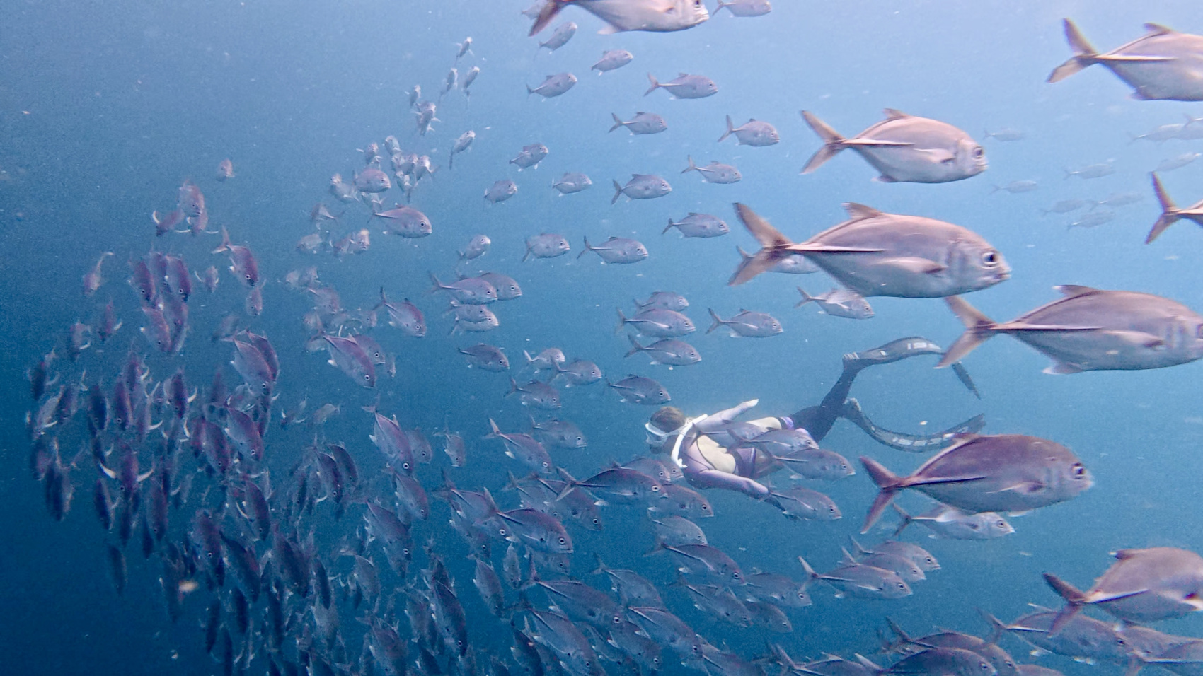 Приключения на Филиппинах: рейд по островам, джунгли и подводный мир (107/150)