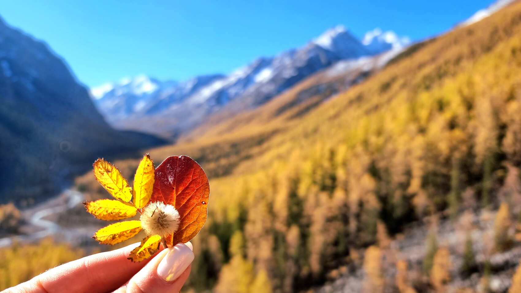 Треккинг в долину Маашей и озерам Каракабак (51/76)
