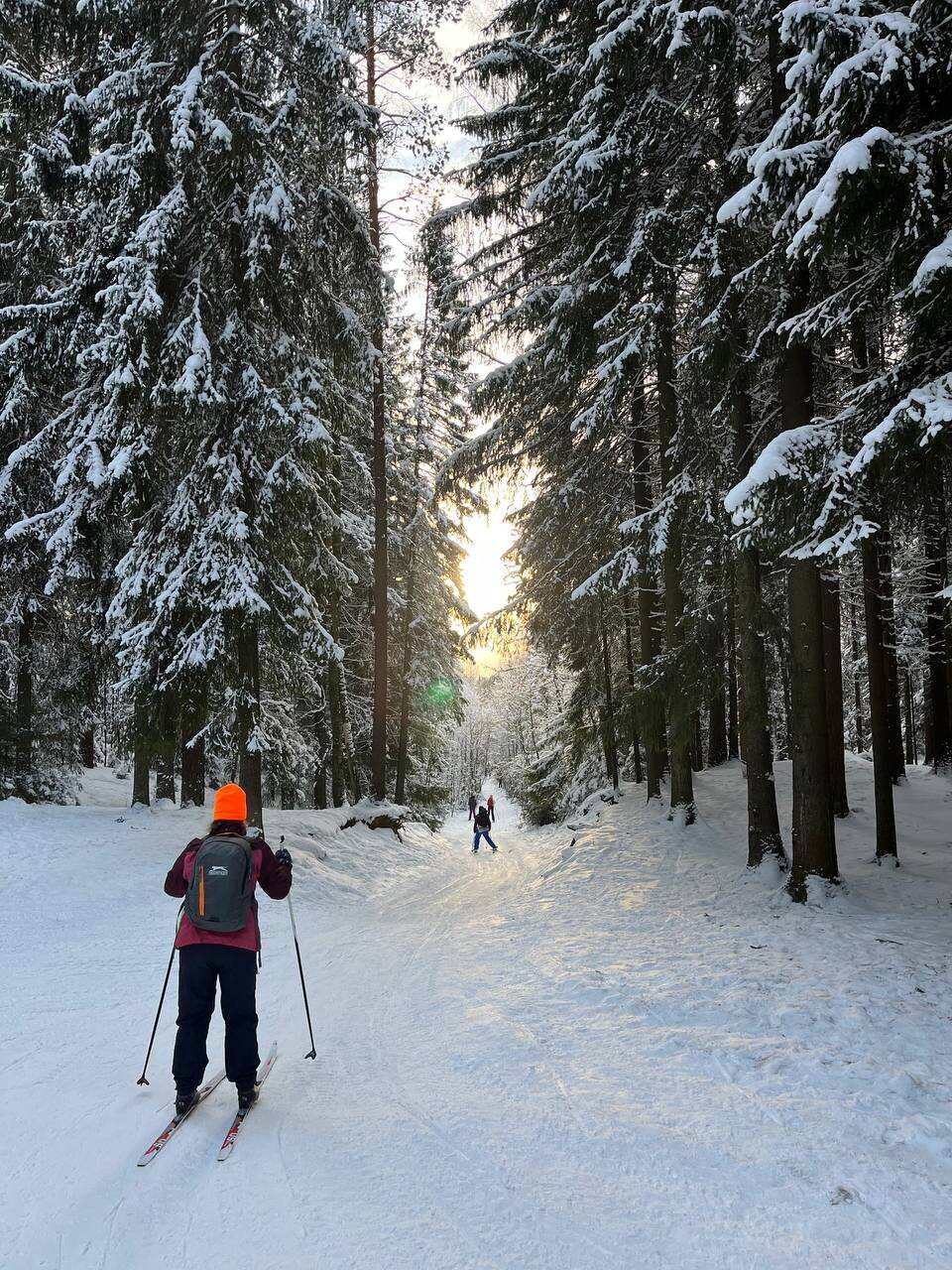 Лыжный день по сказочным местам. Однодневный выезд из Петербурга (4/17)