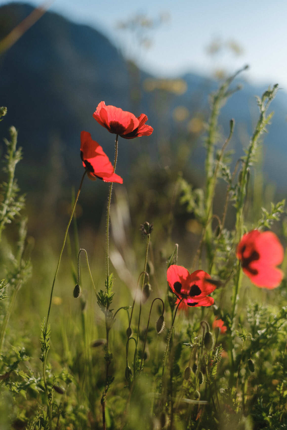 Трекинг по Ликийской тропе с восхождением на г.Тахталы (19/62)