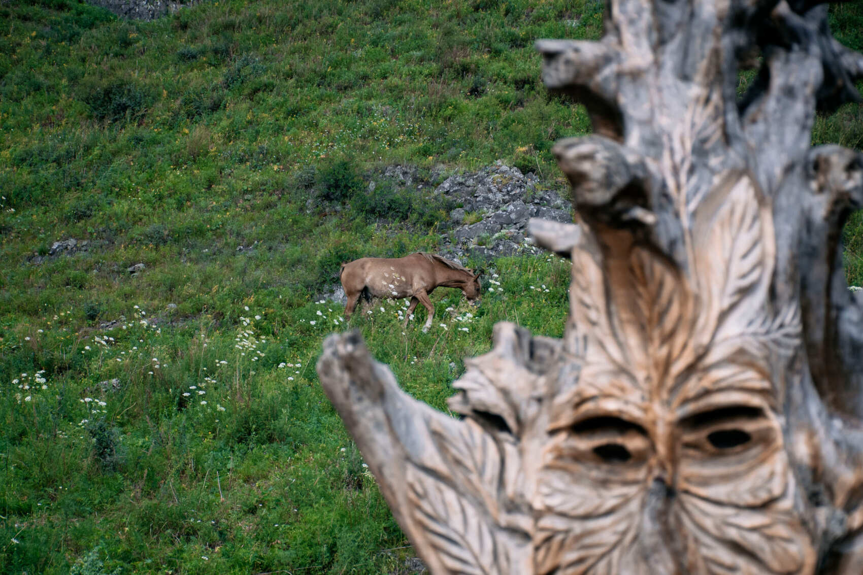Алтай Голд Плюс + ледник Актру (кольцевой маршрут, для групп 2-6 чел.) (24/53)