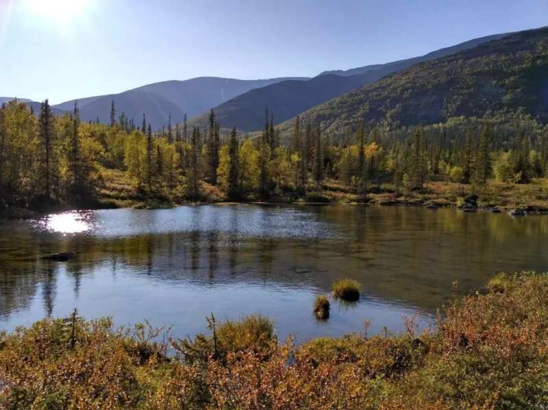 Осень на Кольском