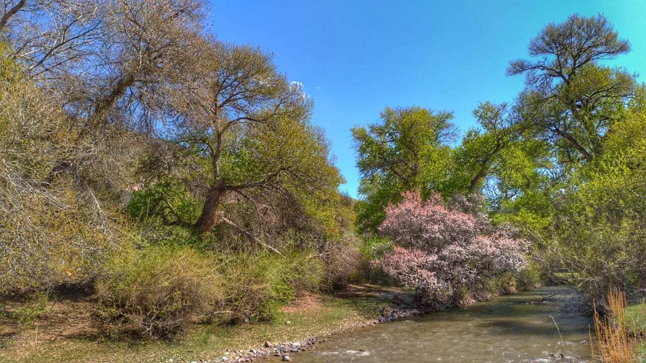 Джип-тур: Каньоны Семиречья. (21/22)