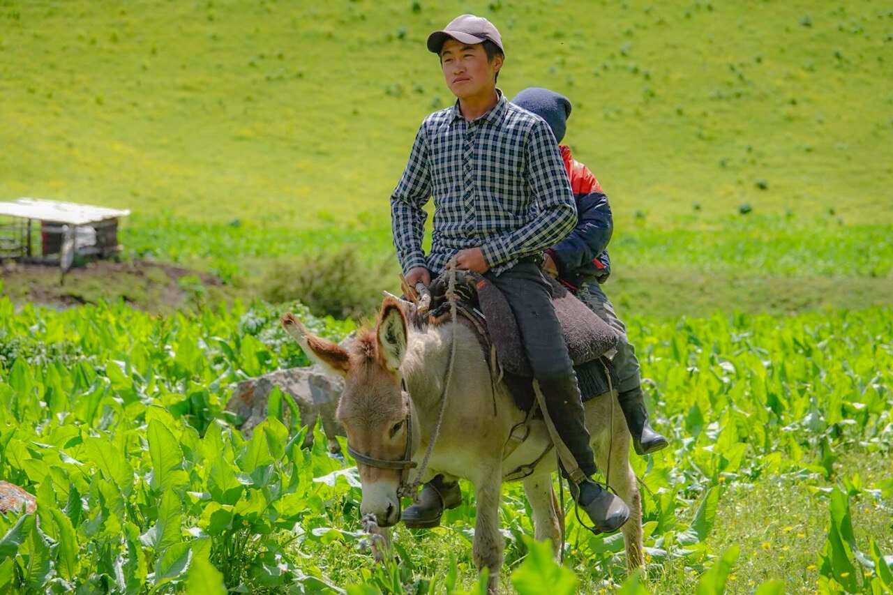 ВНЕ ПОПУЛЯРНЫХ МАРШРУТОВ (8/59)