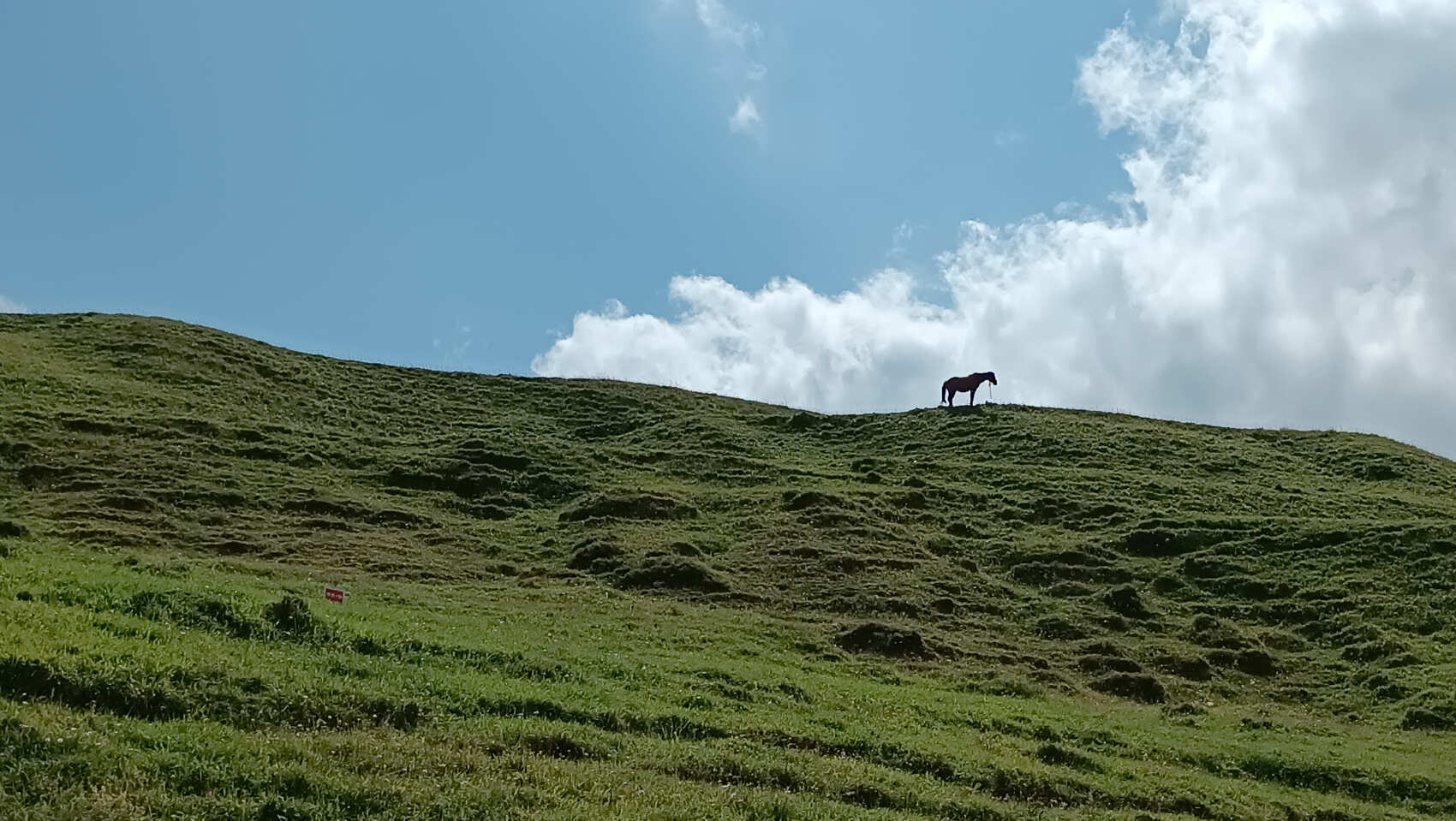 Шунудаг- самое высокое плато в Дагестане (4/13)