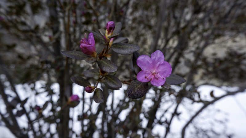 Пантовые ванны (15/38)