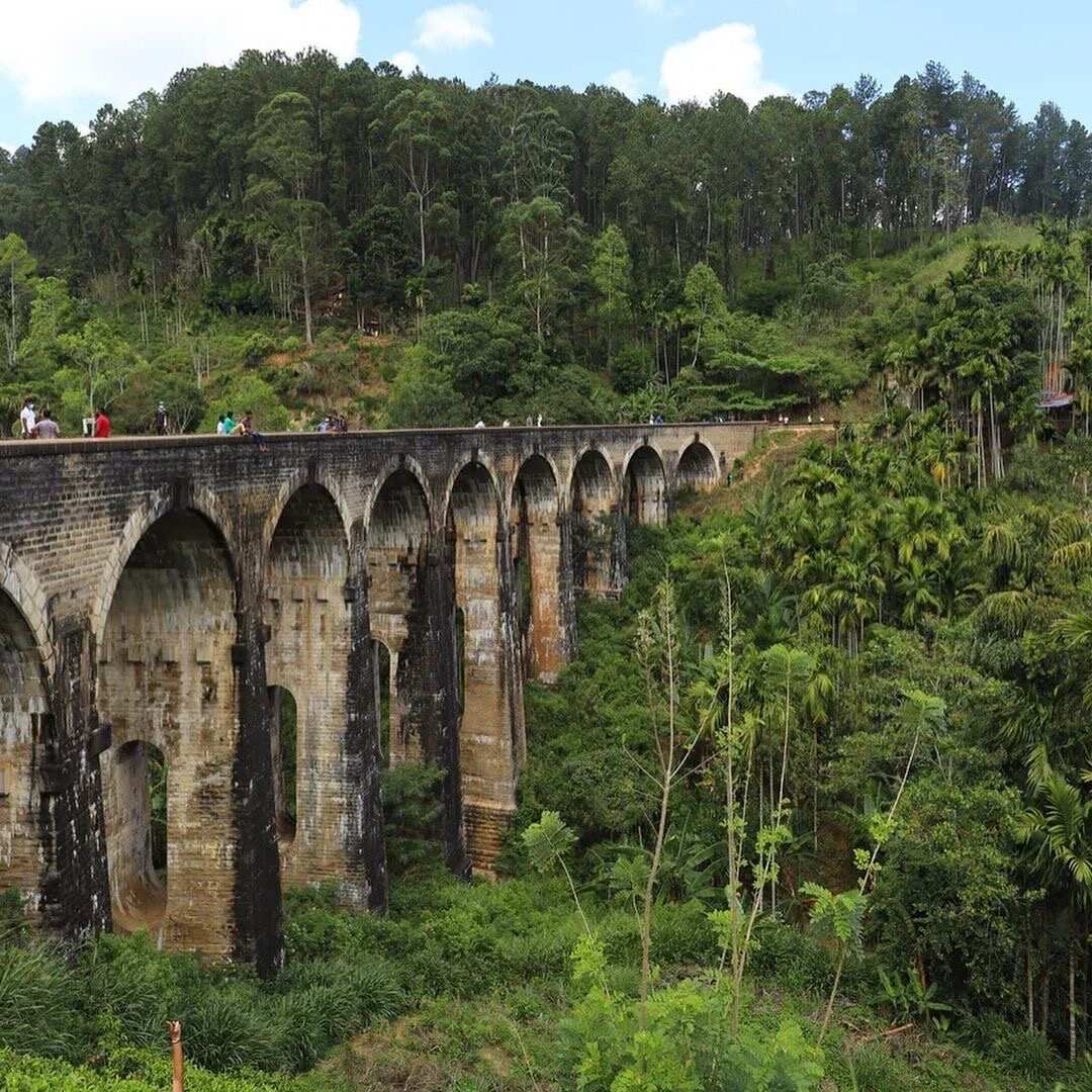 Йога серф тур на Шри Ланку в феврале (11/32)