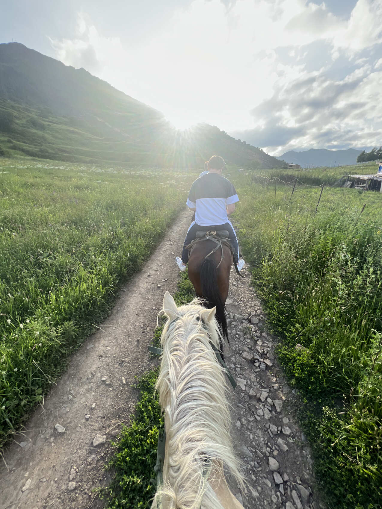 Комфорт-тур Сердце Дагестана. Топ-локации и уникальный маршрут на 5 дней (19/119)