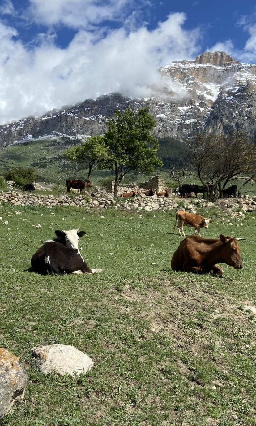 Горная Дигория: жемчужина Осетии (9/16)