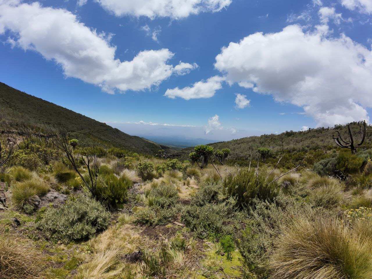 Маршрут Мачаме, Килиманджаро, 8 дней (6/12)