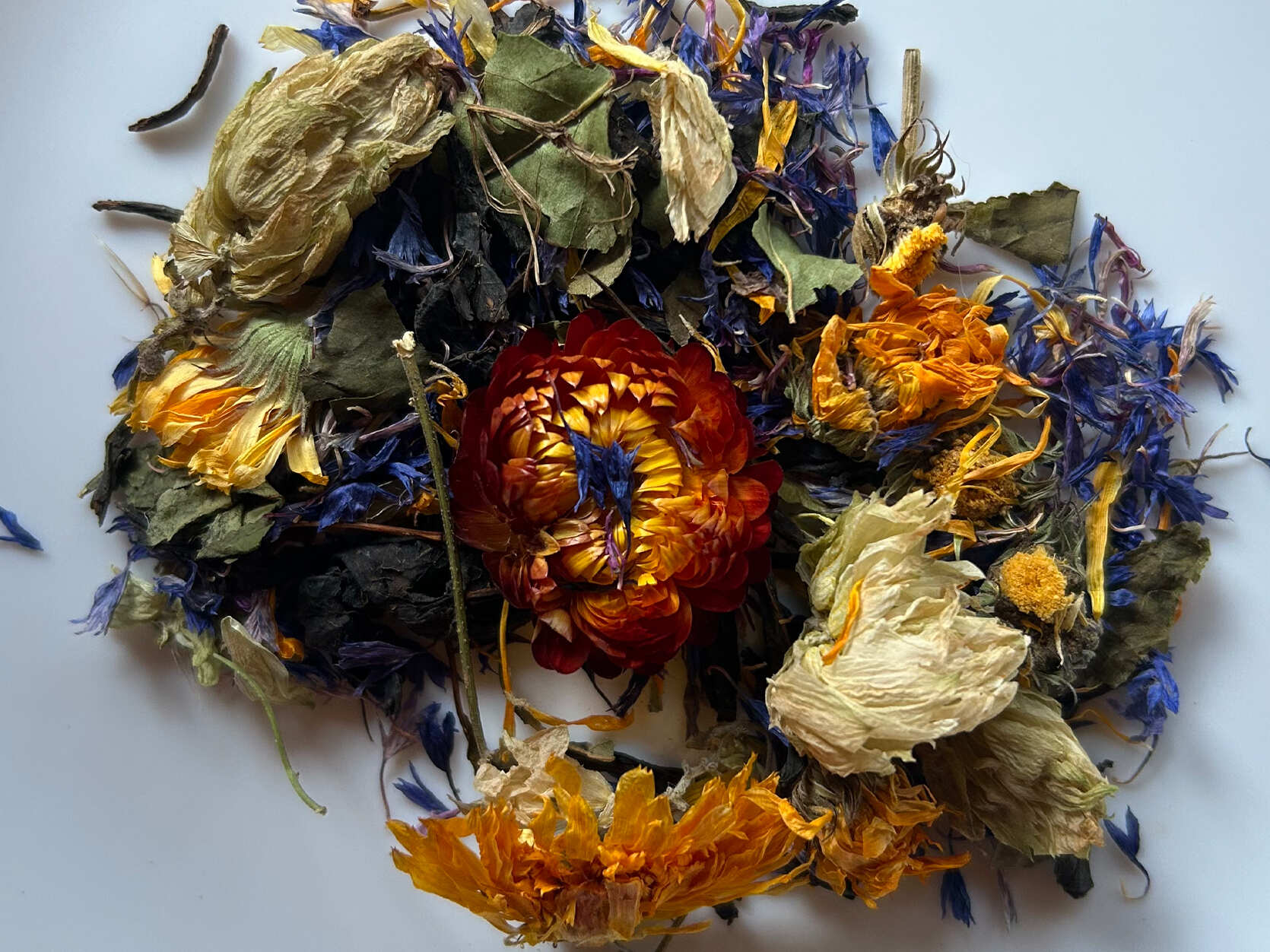 Алтай. Жизнь — Река. Экспедиция на плато Укок. (28/49)