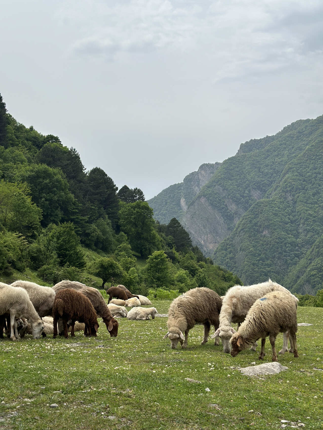 Увидеть весь Азербайджан за 8 дней (88/201)