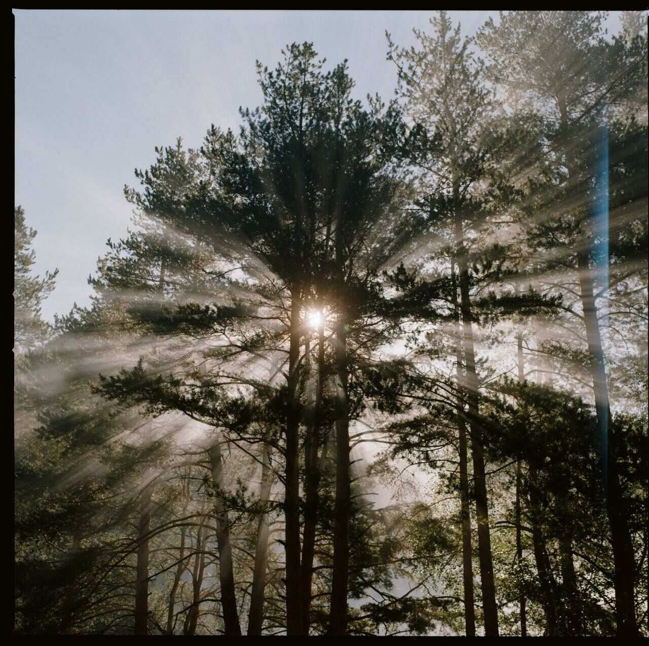 Интернет-детокс в ущелье реки Махар (19/30)