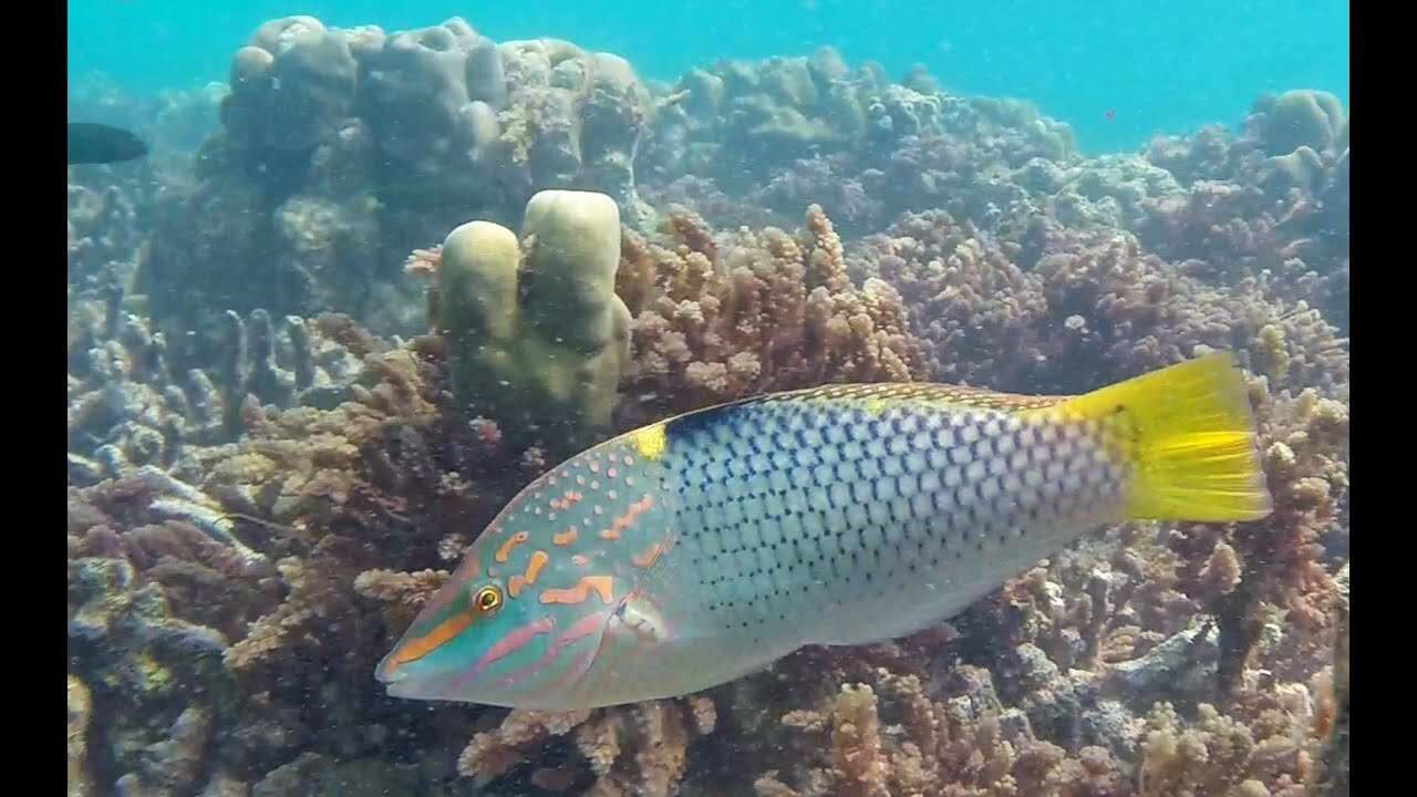 10 островов Таиланда на парусном катамаране. Круиз на 7 дней в море (6/32)