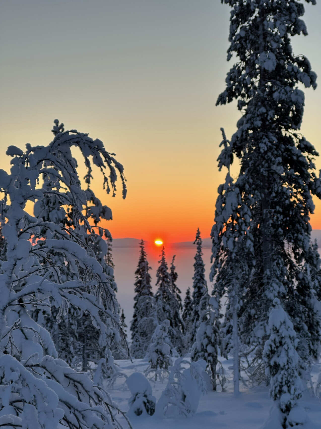 Поход в горы Хибины на снегоступах (11/16)