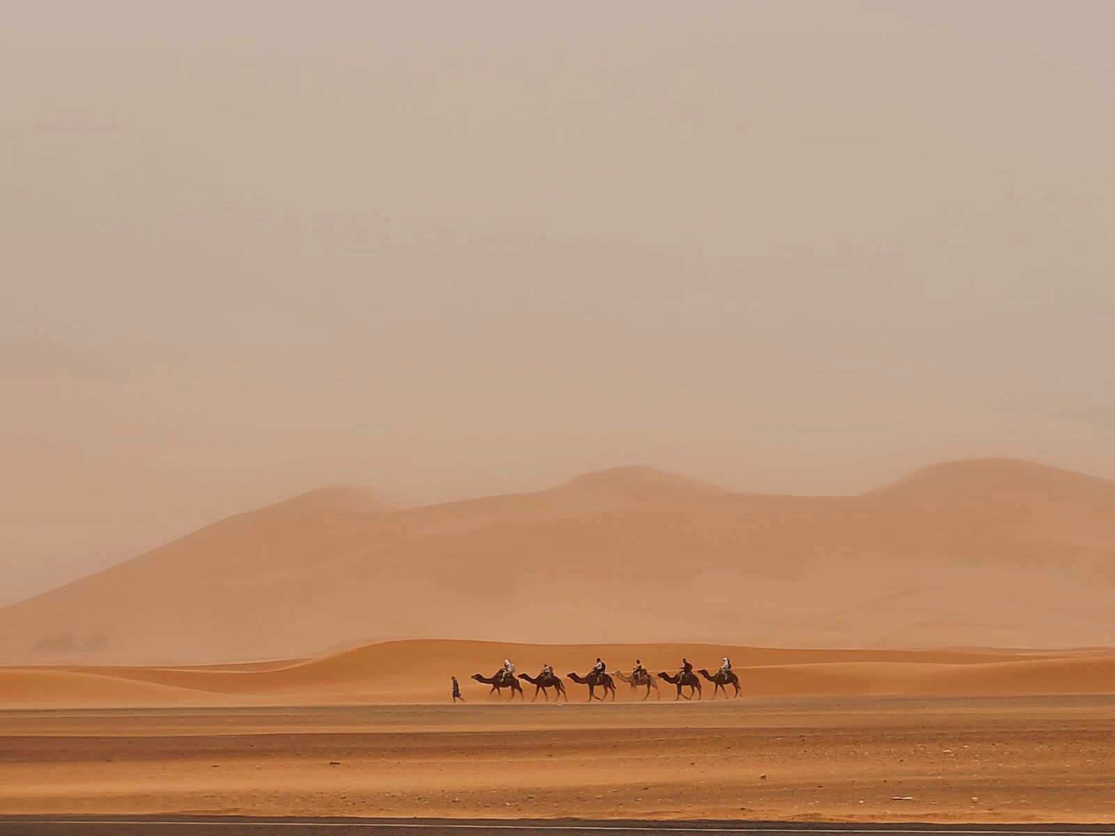 Best Morocco Tours 14Days 13Nights  (4/34)