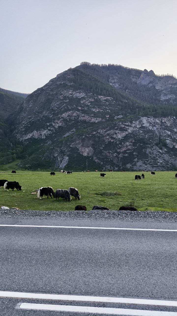 Легендарный Чуйский тракт (6/9)