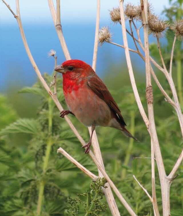 ЭКСКЛЮЗИВ АРМЕНИЯ - ПРИКЛЮЧЕНЧЕСКИЙ ТУР (20/31)