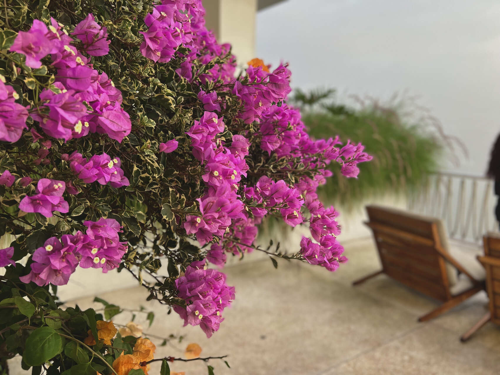 Фото-девичник на Бали за 10 дней (123/167)