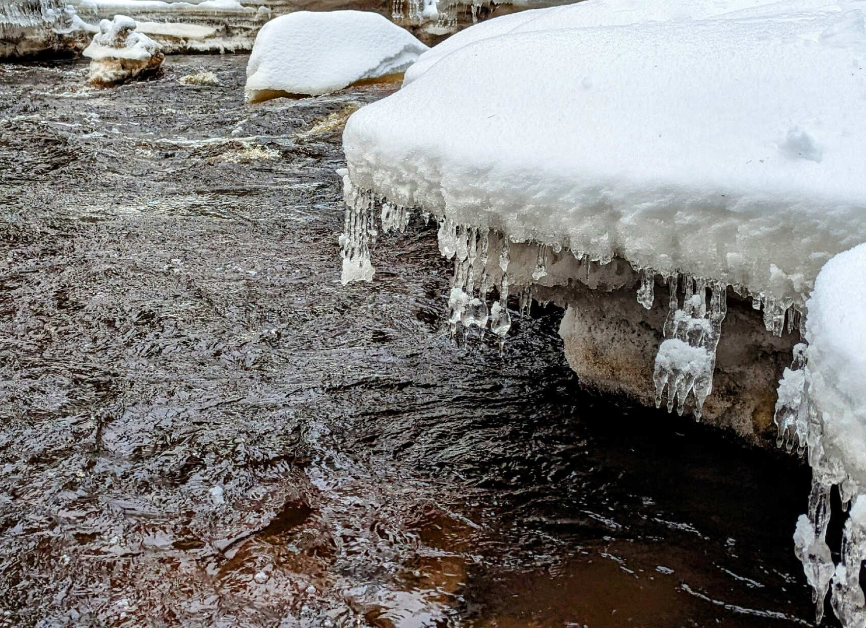 Лыжная прогулка по Линдуловской роще. Однодневный выезд из Петербурга (4/10)