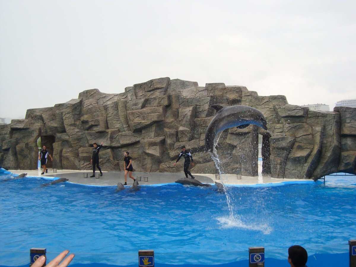 Индивидуальный Развлекательный тур с посещением Дельфинария и Цицинате (7/9)