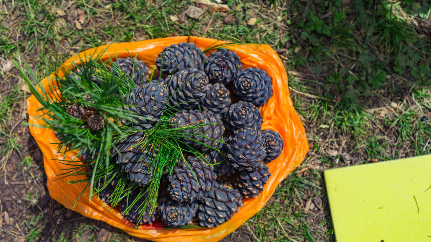 Треккинг к базовому лагерю Белухи (29/78)